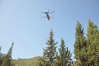 DSC_0443.JPG